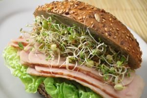 Turkey Sandwich with sprouts